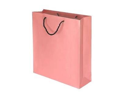 GIFT BAG 247019
